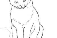 realistic cat coloring pages