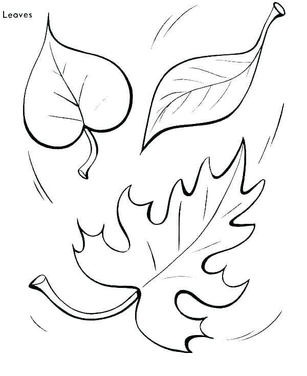 tree without leaves coloring page