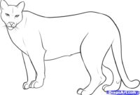 mountain lion coloring page