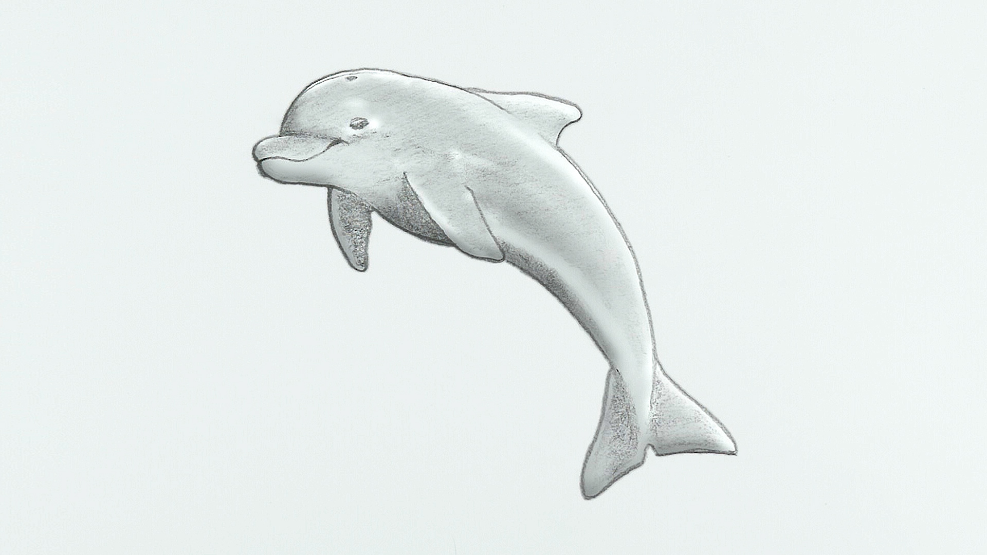 3 Ways to Draw a Dolphin - wikiHow