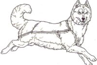 husky puppy coloring page