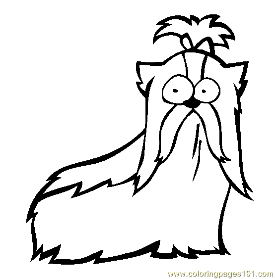 shih tzu coloring pages