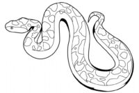 snake printable coloring pages