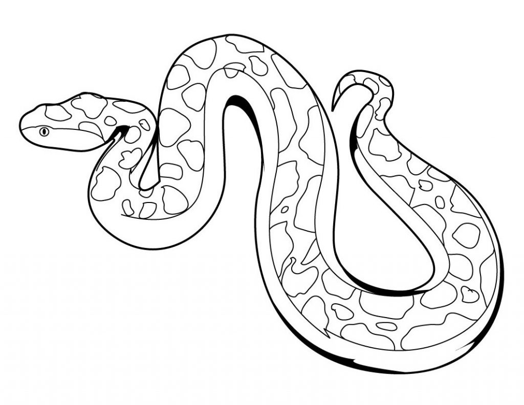 snake printable coloring pages