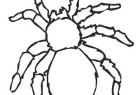 preschool spider coloring pages