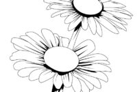 printable daisy coloring pages