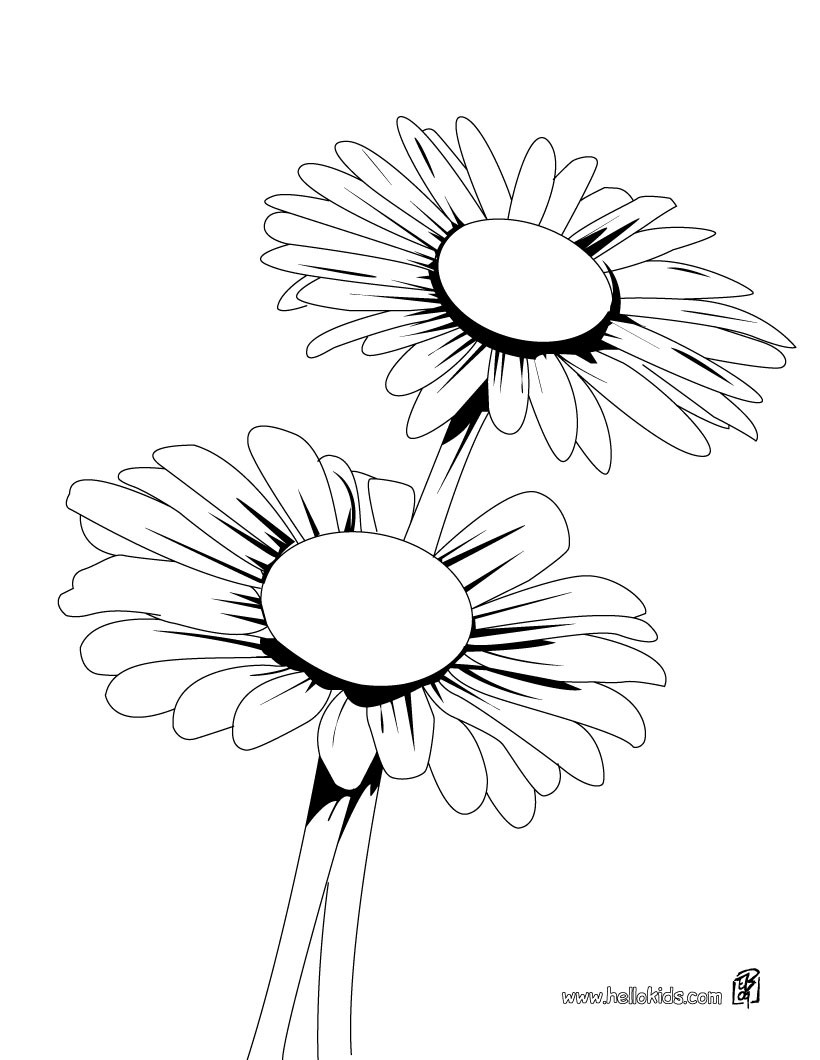 printable daisy coloring pages