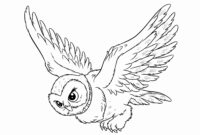 hedwig coloring pages