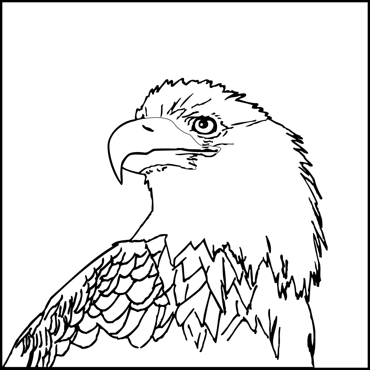 Eagle Drawing For Kids at GetDrawings | Free download