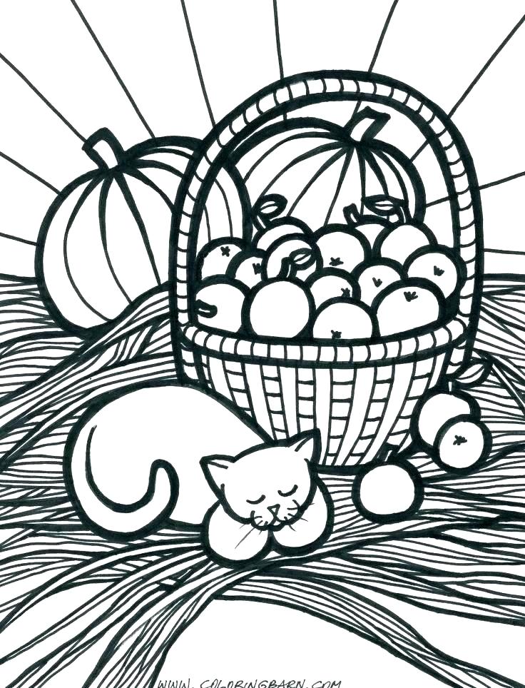 free harvest coloring pages