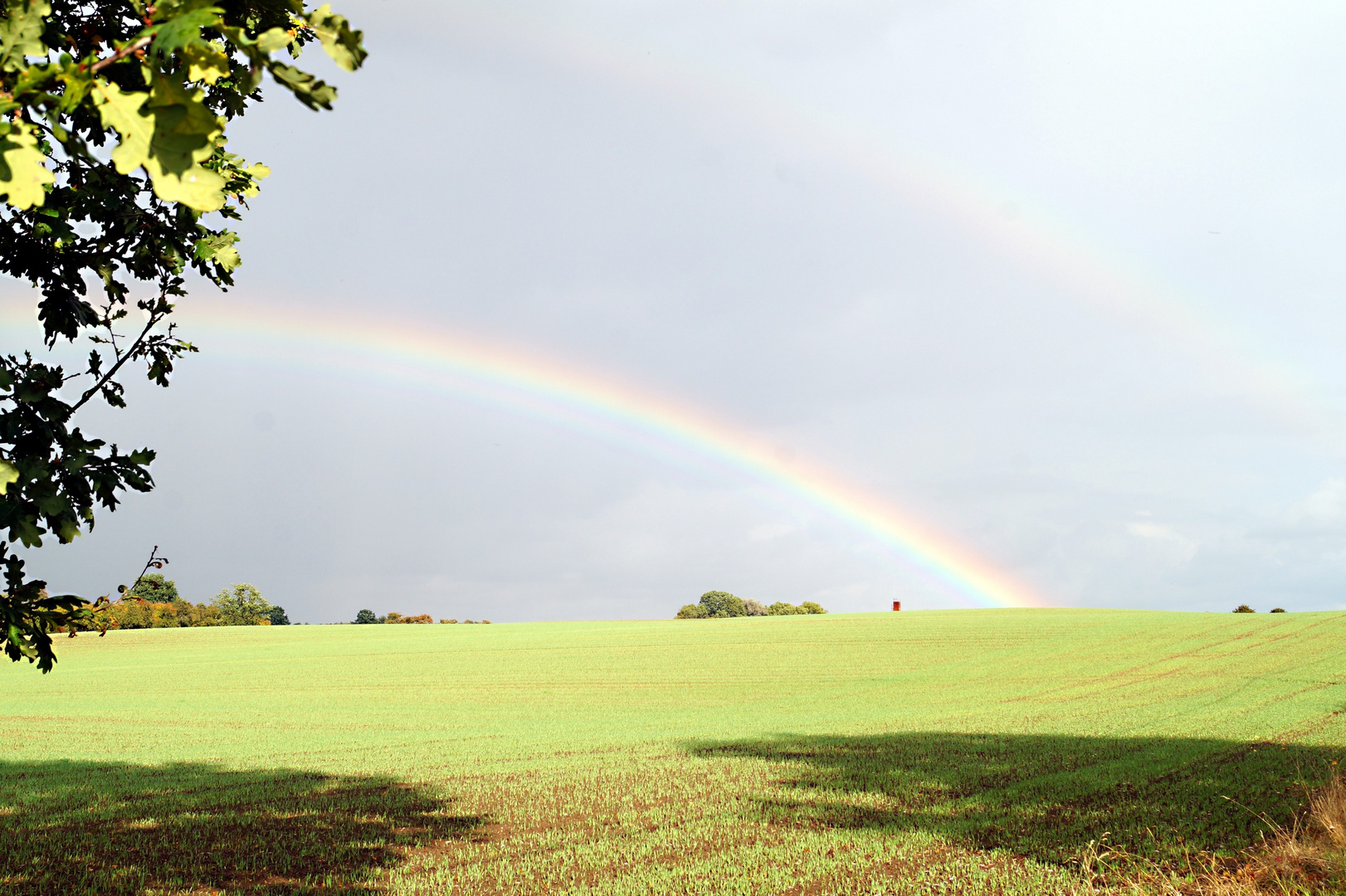 regenbogen bilder natur