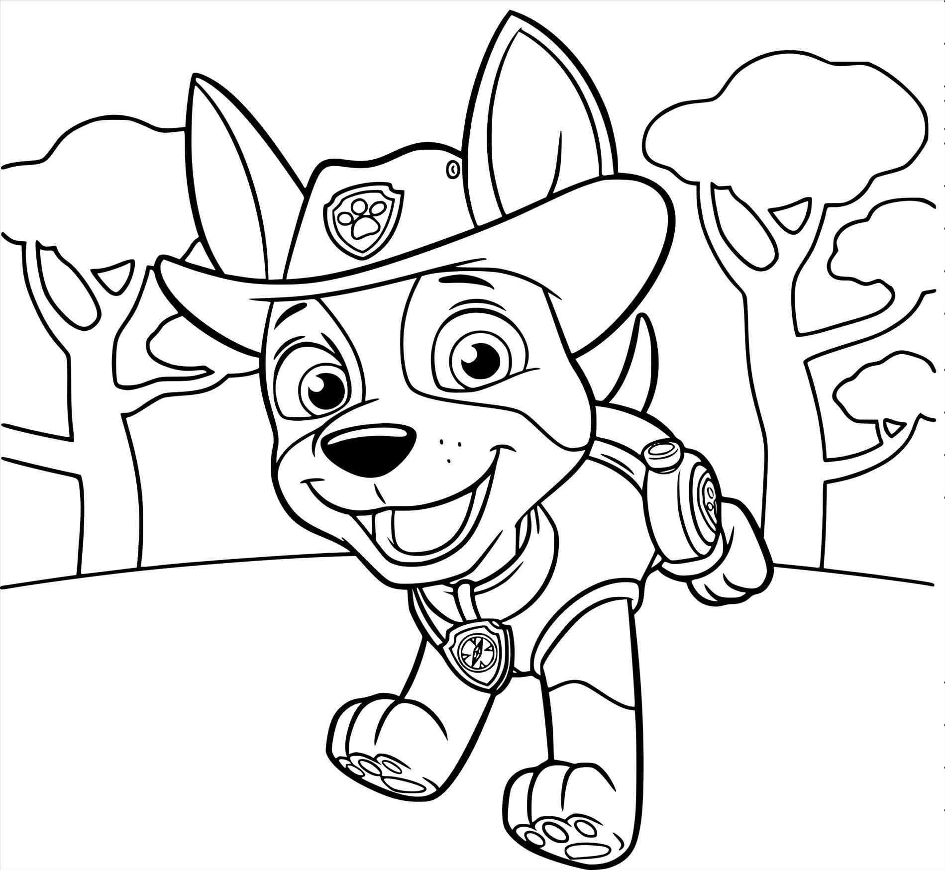 ausmalbild pawpatrol