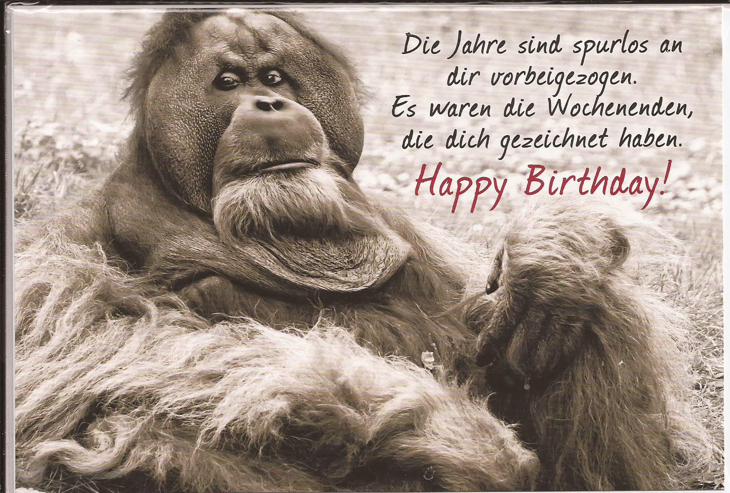 zum geburtstag lustige bilder