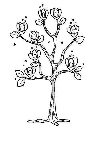 magnolia coloring page