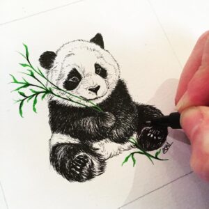 pandabär zeichnen vorlage