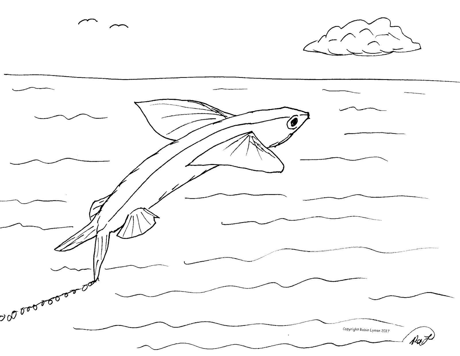 flying fish coloring page