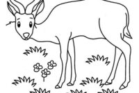 grassland coloring page