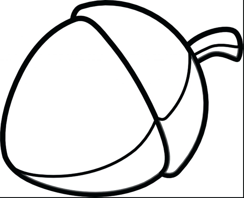 acorn coloring pages