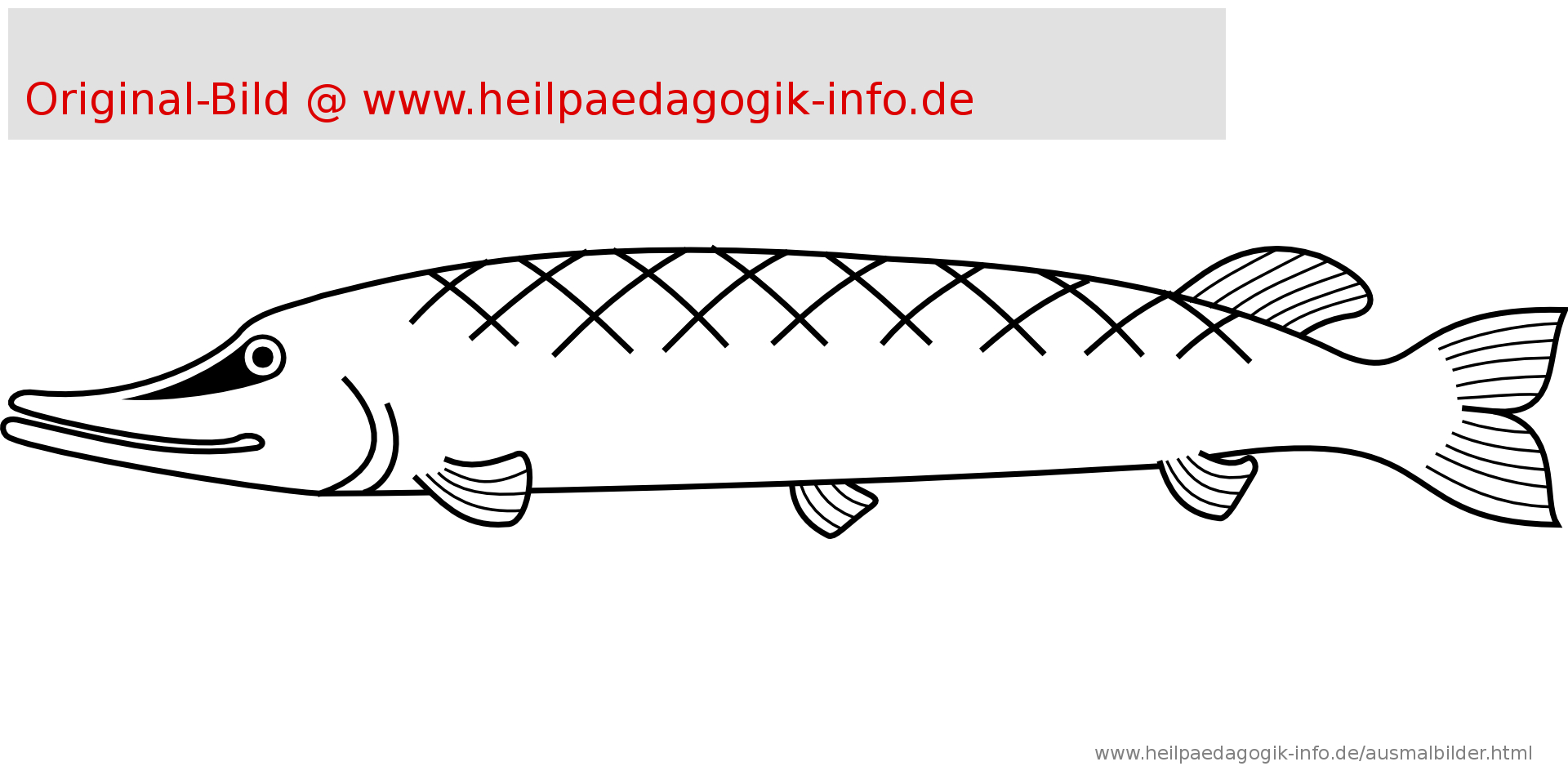 Fische Zum Ausmalen - kinderbilder.download | kinderbilder.download