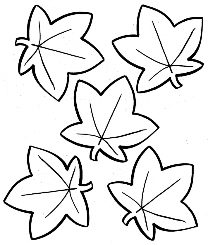 fall leaves coloring pages