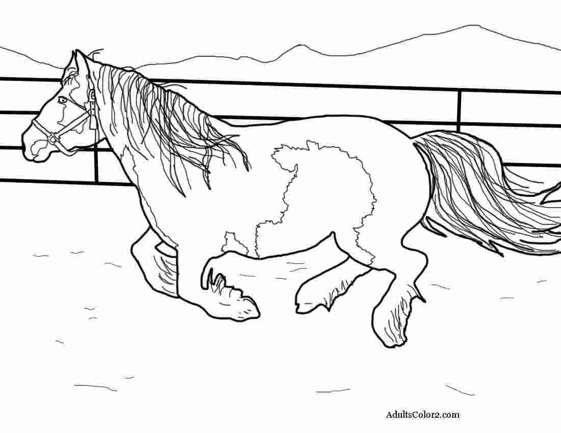 coloring pages of horses running