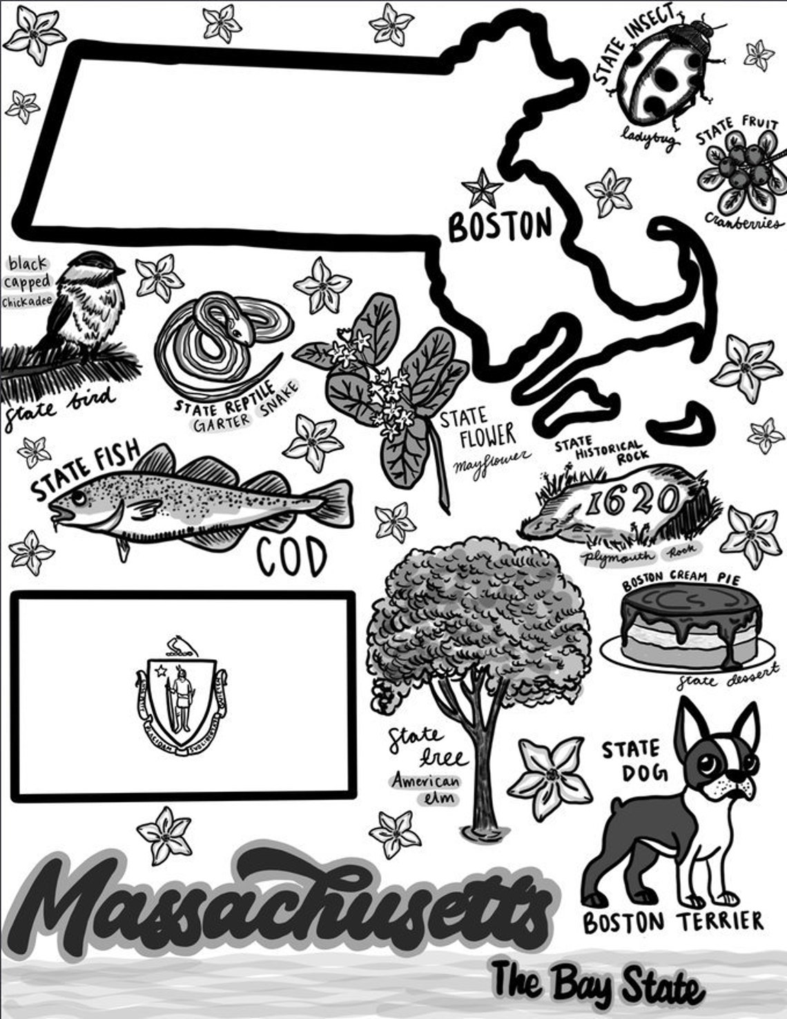 massachusetts coloring page