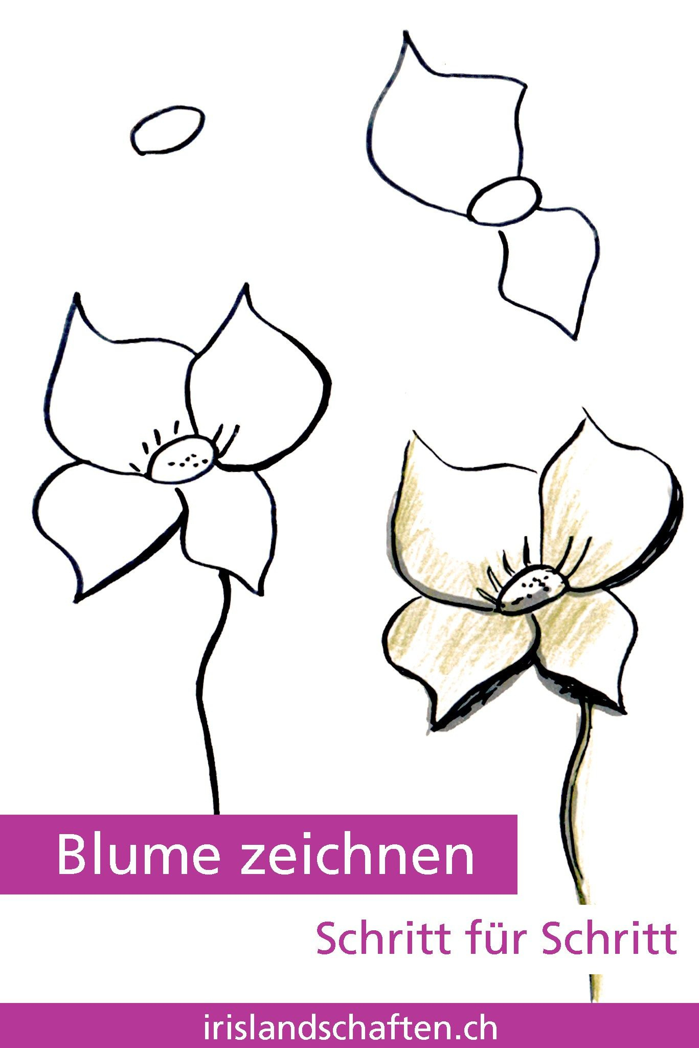 Blüten Zeichnen Schritt Für Schritt - kinderbilder.download