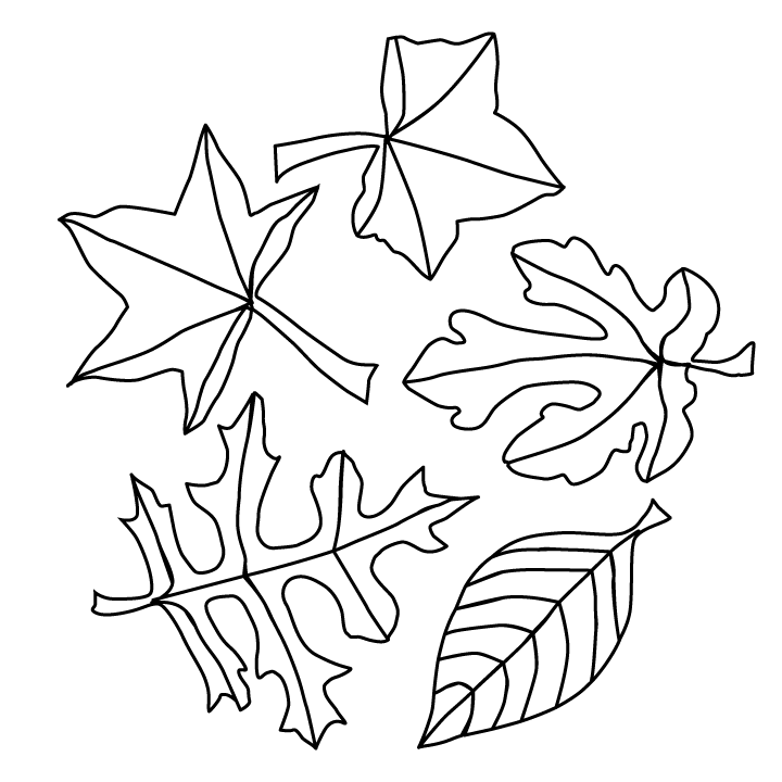 fall leaves coloring page