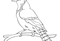 bluejay coloring page