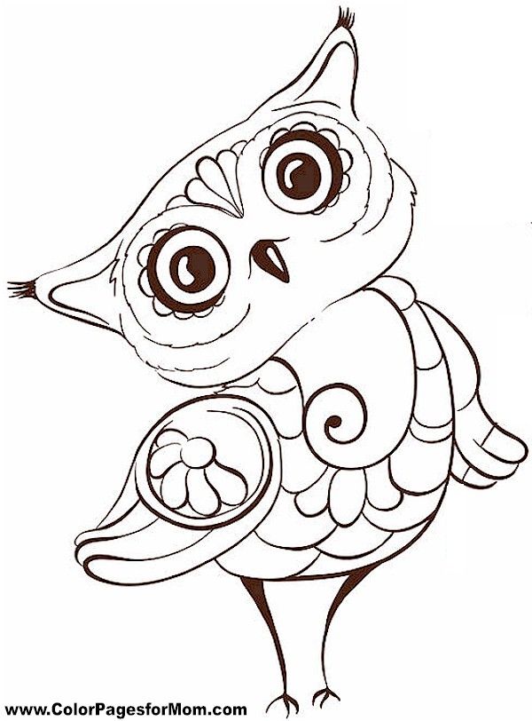 owl mandala coloring pages