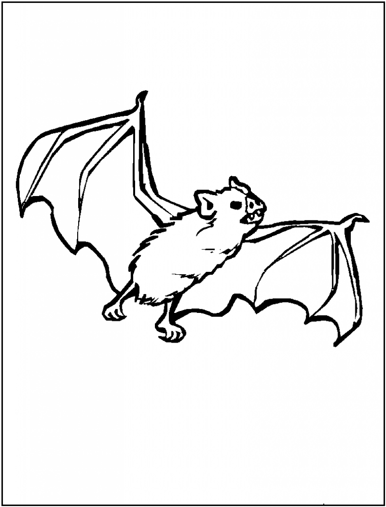 free bat coloring pages