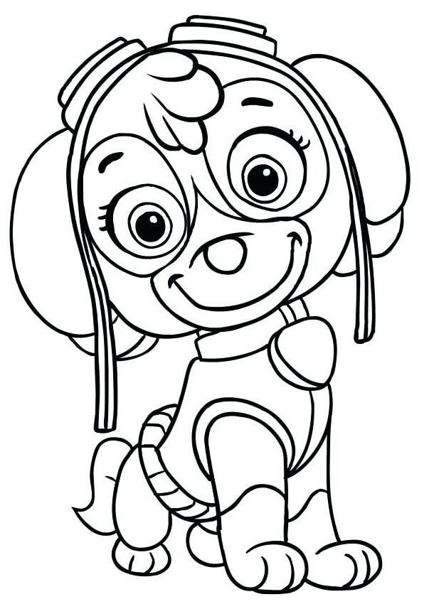 skye coloring page paw patrol