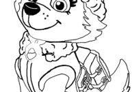 paw patrol rex coloring pages