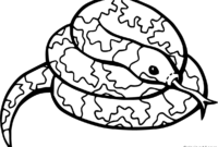 python coloring page