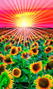 minecraft sonnenblumen