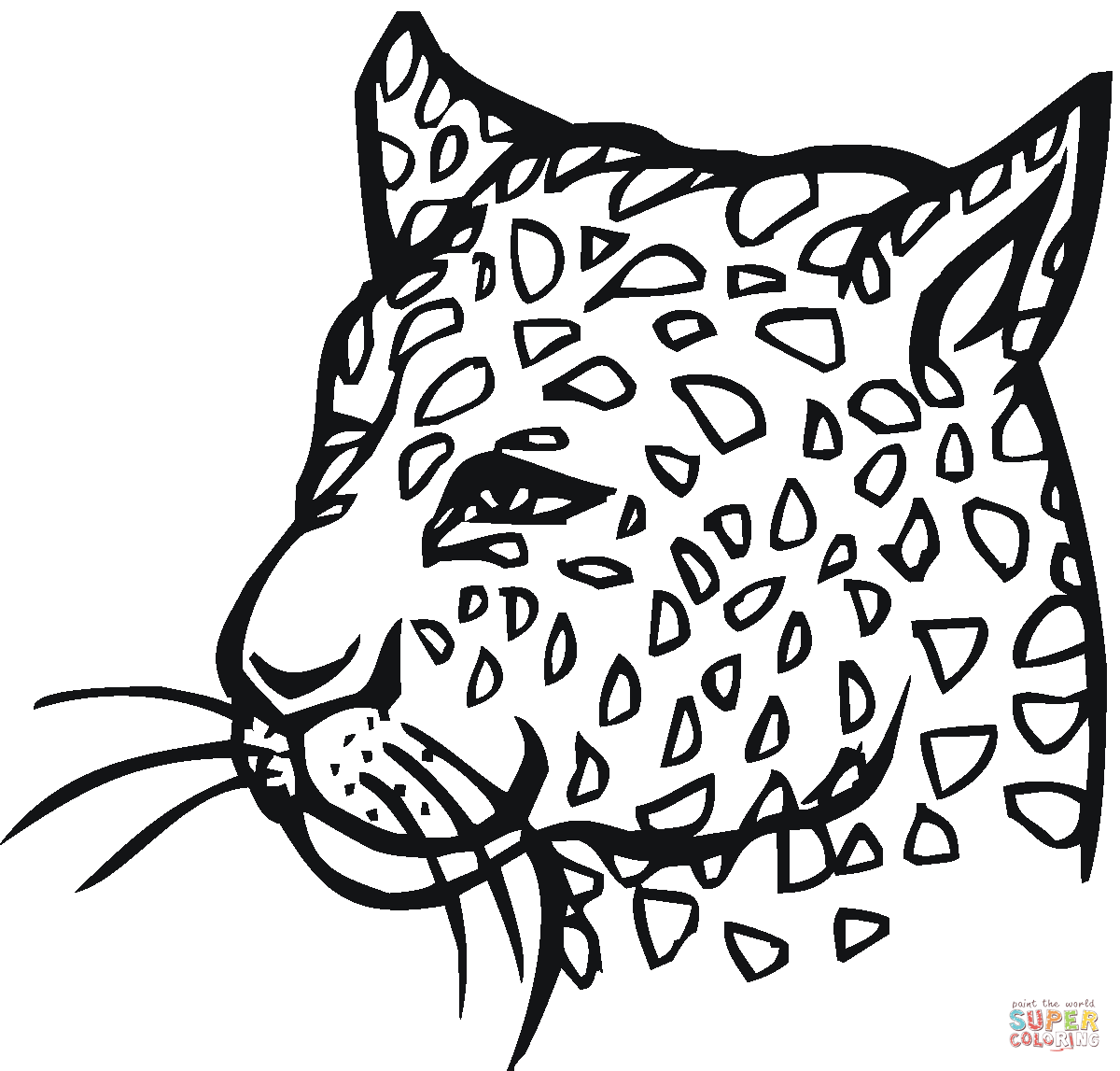 baby cheetah coloring page