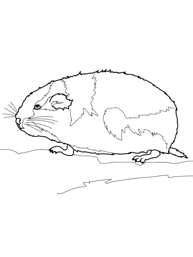 Lemming coloring pages. Download and print Lemming coloring pages