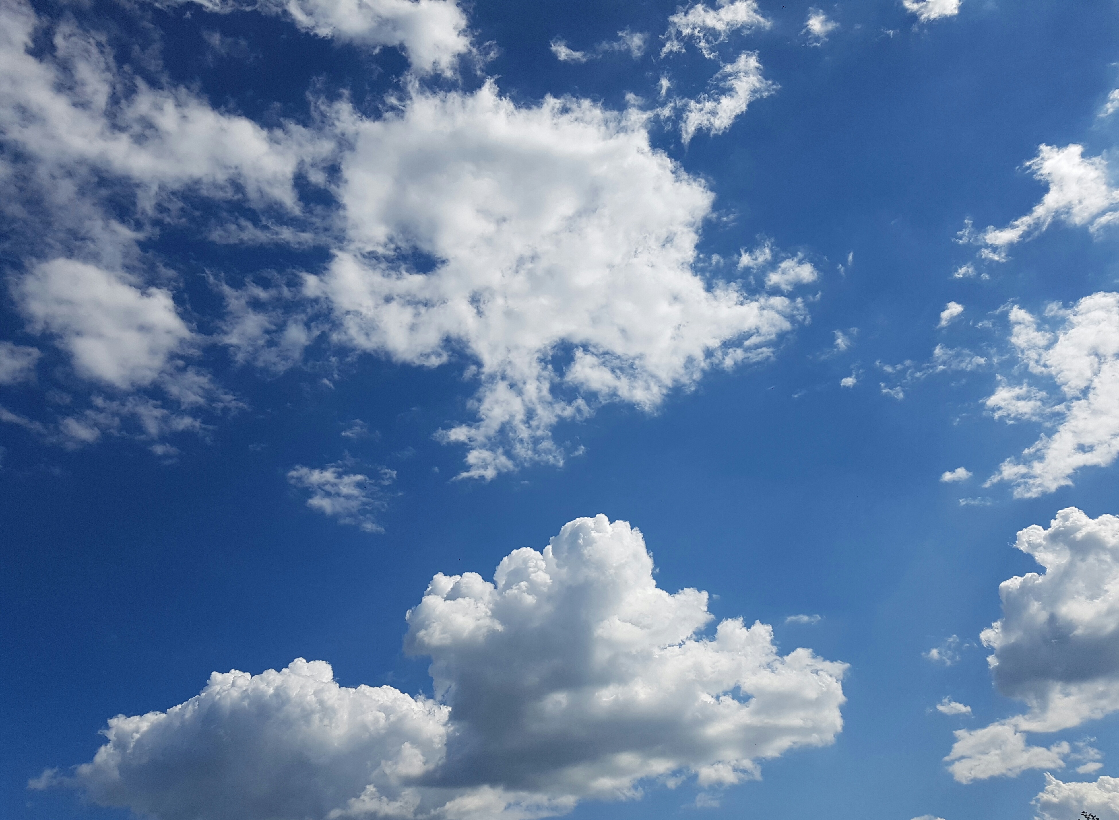 Kostenlose foto : Wolke, Sonnenlicht, Tagsüber, Wetter, Kumulus, blau