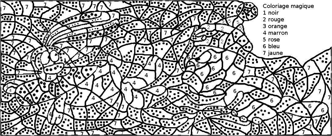 coloriage par numero pour adulte en ligne