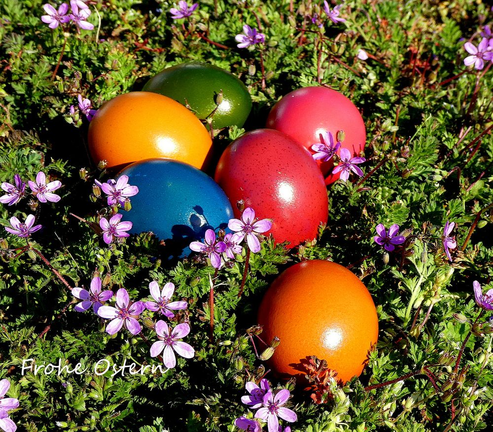 Frohe Ostern Foto & Bild | gratulation und feiertage, wünsche allgemein