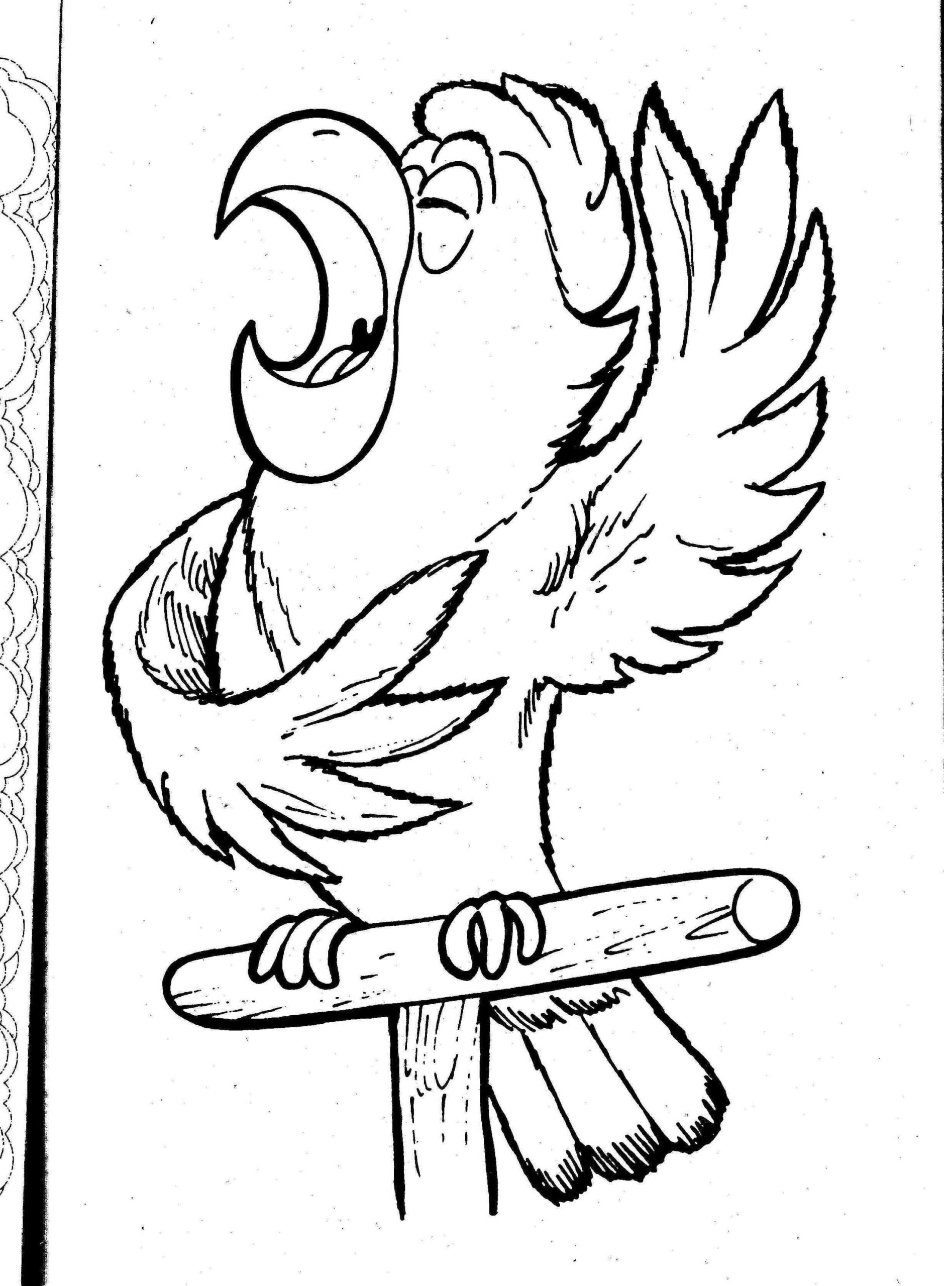 coloring page parrot