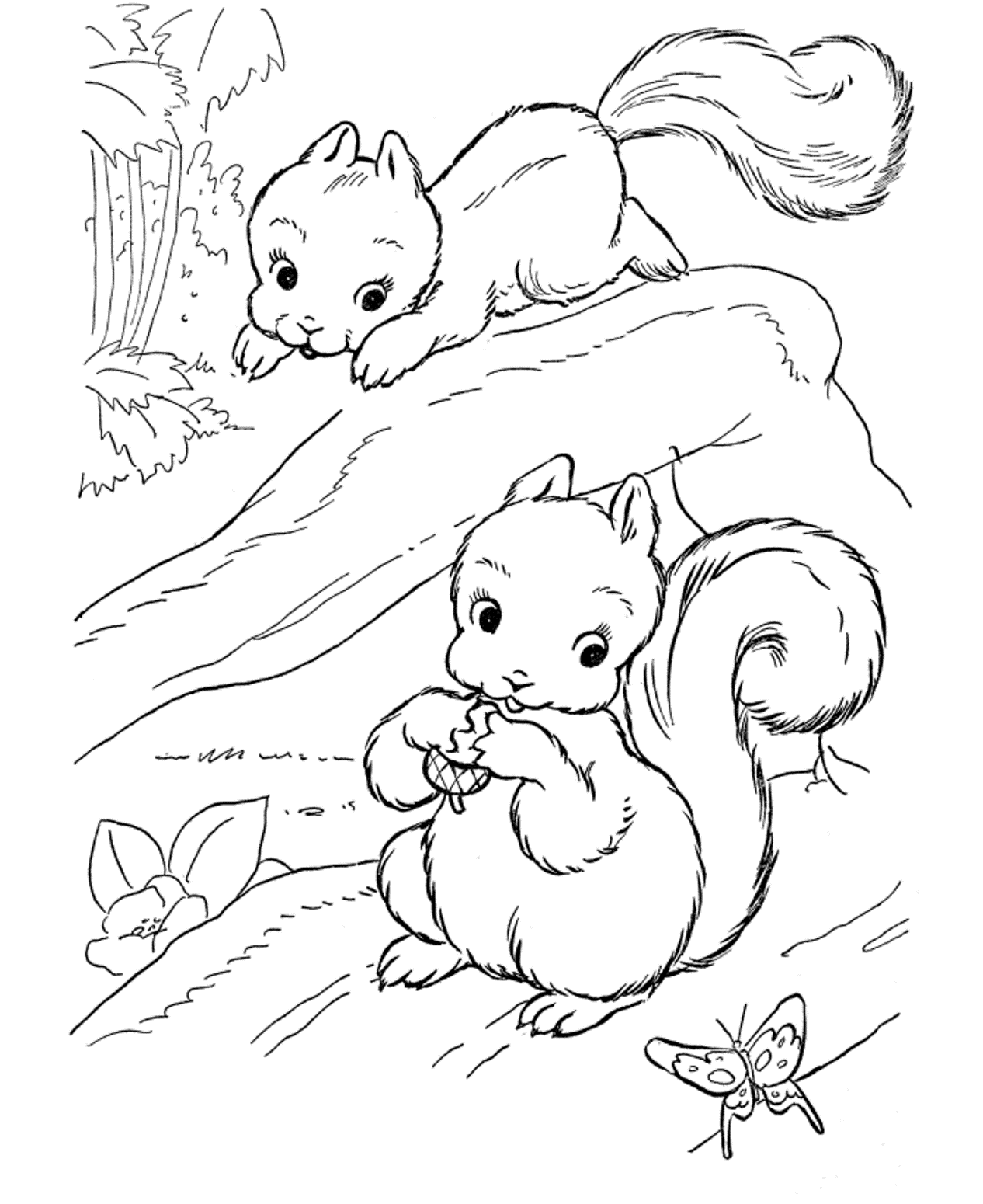 coloring pages squirrel