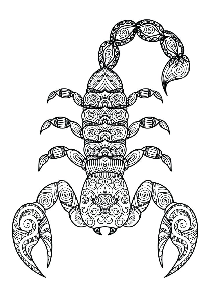 coloring pages scorpion