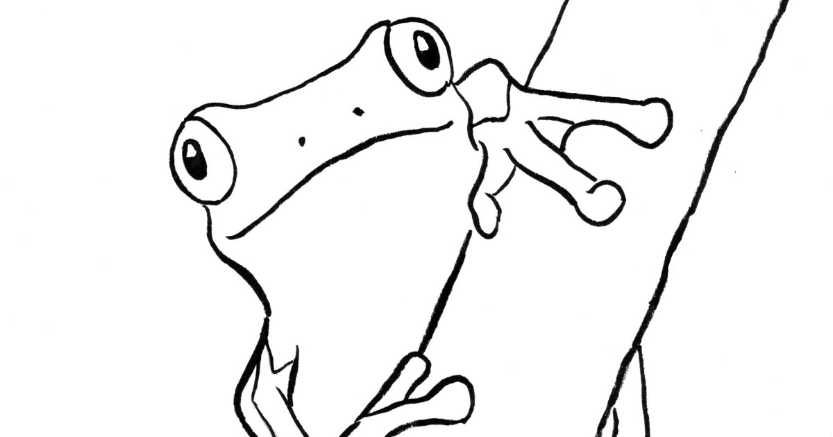 tree frog coloring pages