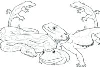 reptiles coloring page