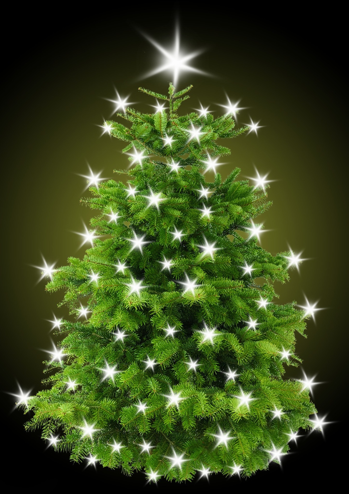 christbaum bilder