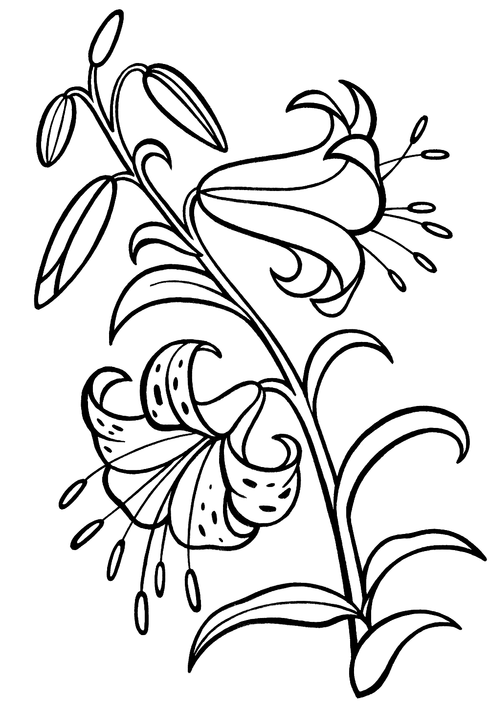 lily of the valley coloring pages