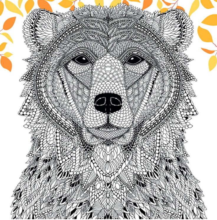 bear coloring pages for adults