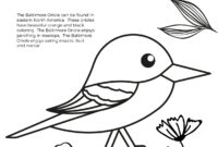 orioles coloring pages