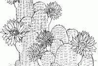 cactus coloring pages free